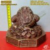 Cóc ngồi đế bát quái, cóc ngồi tiền, cóc nhả tiền, Cóc ngậm tiền xu, thiềm thừ, Cóc 3 chân, cóc phong thuỷ, cóc đồng tài lộc