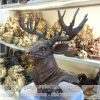 Tượng đầu hươu bằng đồng, tượng trang trí phong thủy