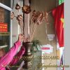 hoa sen đồng đỏ, hoa sen thờ cúng